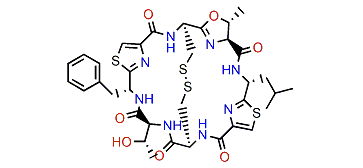 Ulithiacyclamide G